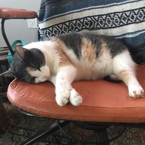 Meet your Posher, Jen